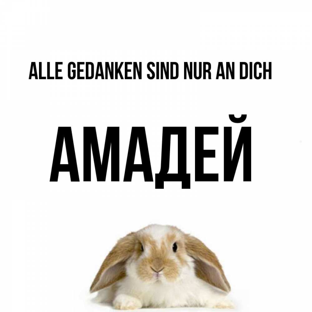 Открытка на каждый день с именем, Амадей Alle Gedanken sind nur an dich подписать своими руками онлайн Прикольная открытка с пожеланием онлайн скачать бесплатно 
