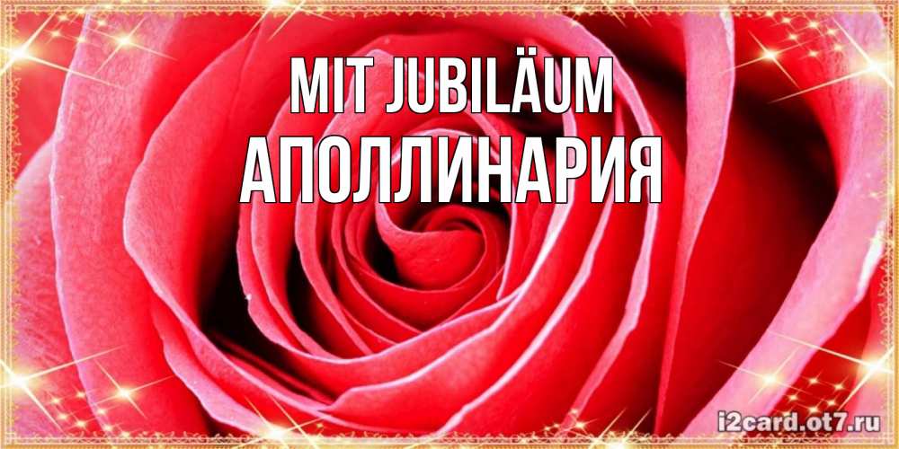 Открытка на каждый день с именем, Аполлинария Mit Jubiläum розовая роза очень крупный бутон Прикольная открытка с пожеланием онлайн скачать бесплатно 