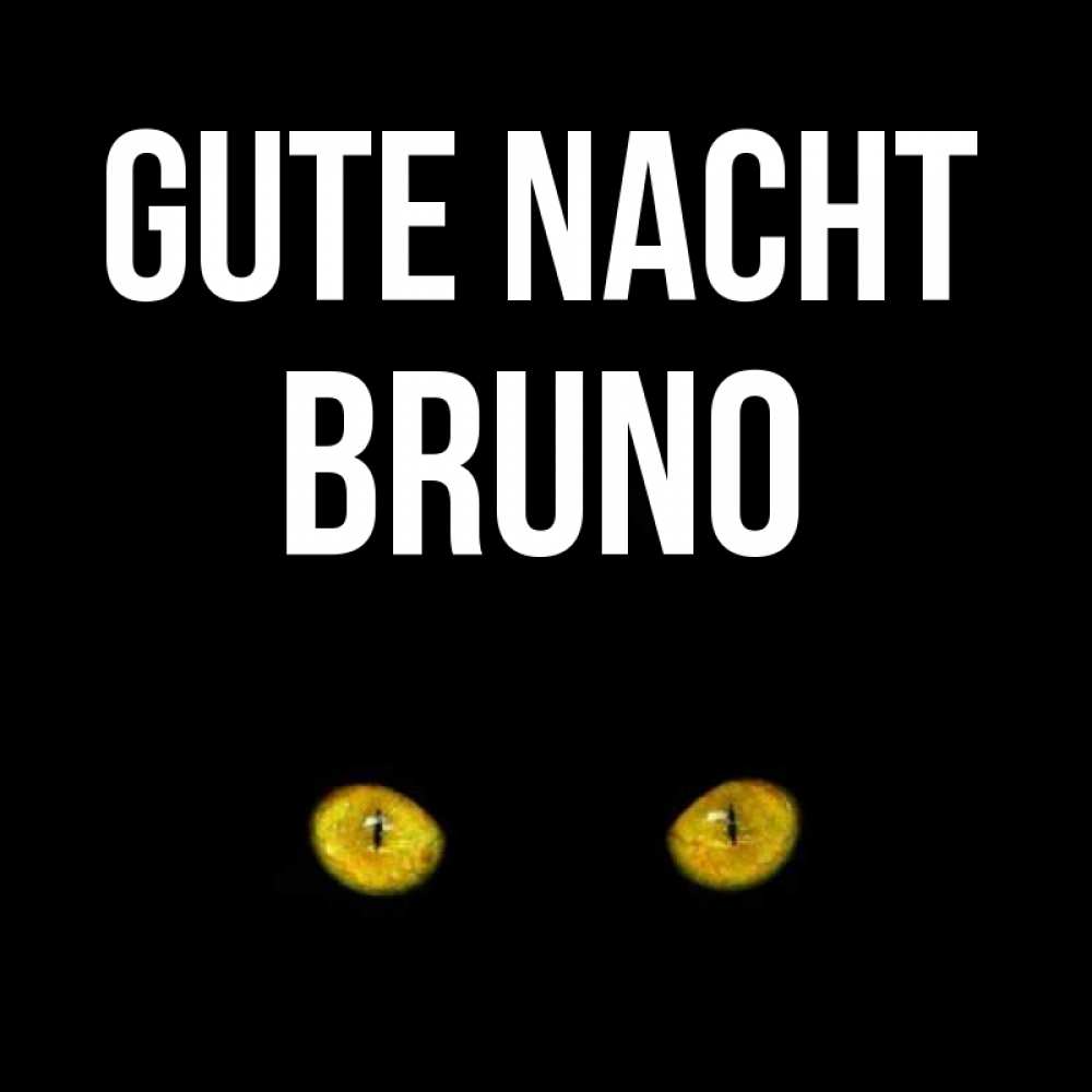 Открытка на каждый день с именем, Bruno Gute Nacht сладких снов бесстрашный мой дружочек Прикольная открытка с пожеланием онлайн скачать бесплатно 
