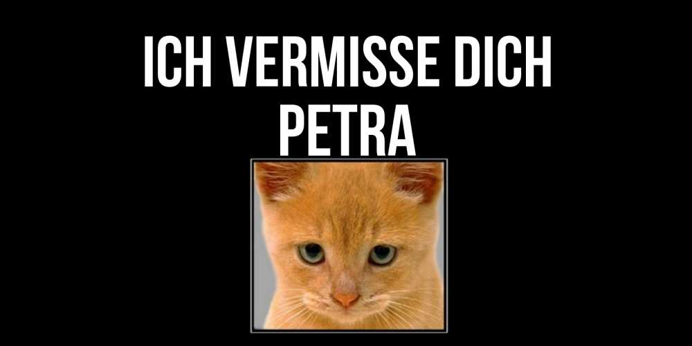 Открытка на каждый день с именем, Petra Ich vermisse dich открытки рыжий котенок скучает по тебе Прикольная открытка с пожеланием онлайн скачать бесплатно 