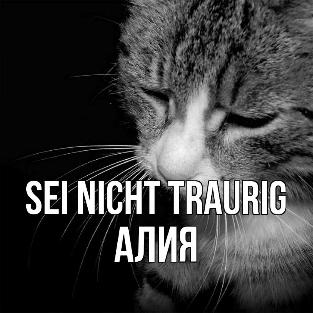 Открытка на каждый день с именем, Алия Sei nicht traurig грустный котик Прикольная открытка с пожеланием онлайн скачать бесплатно 