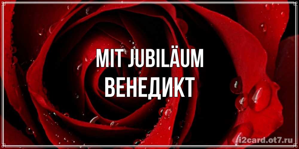 Открытка на каждый день с именем, Венедикт Mit Jubiläum крупная бордовая роза Прикольная открытка с пожеланием онлайн скачать бесплатно 