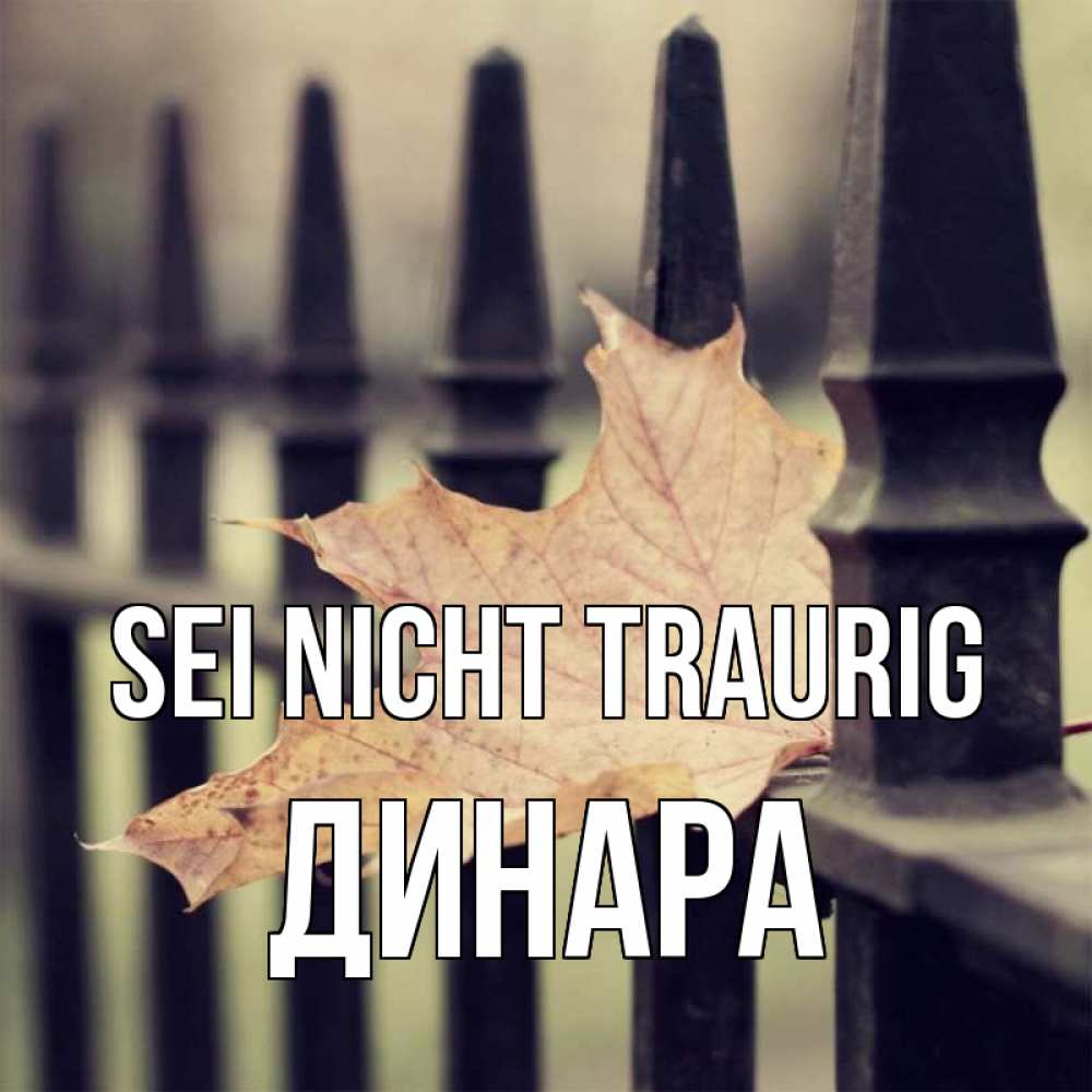 Открытка на каждый день с именем, Динара Sei nicht traurig лист клена Прикольная открытка с пожеланием онлайн скачать бесплатно 