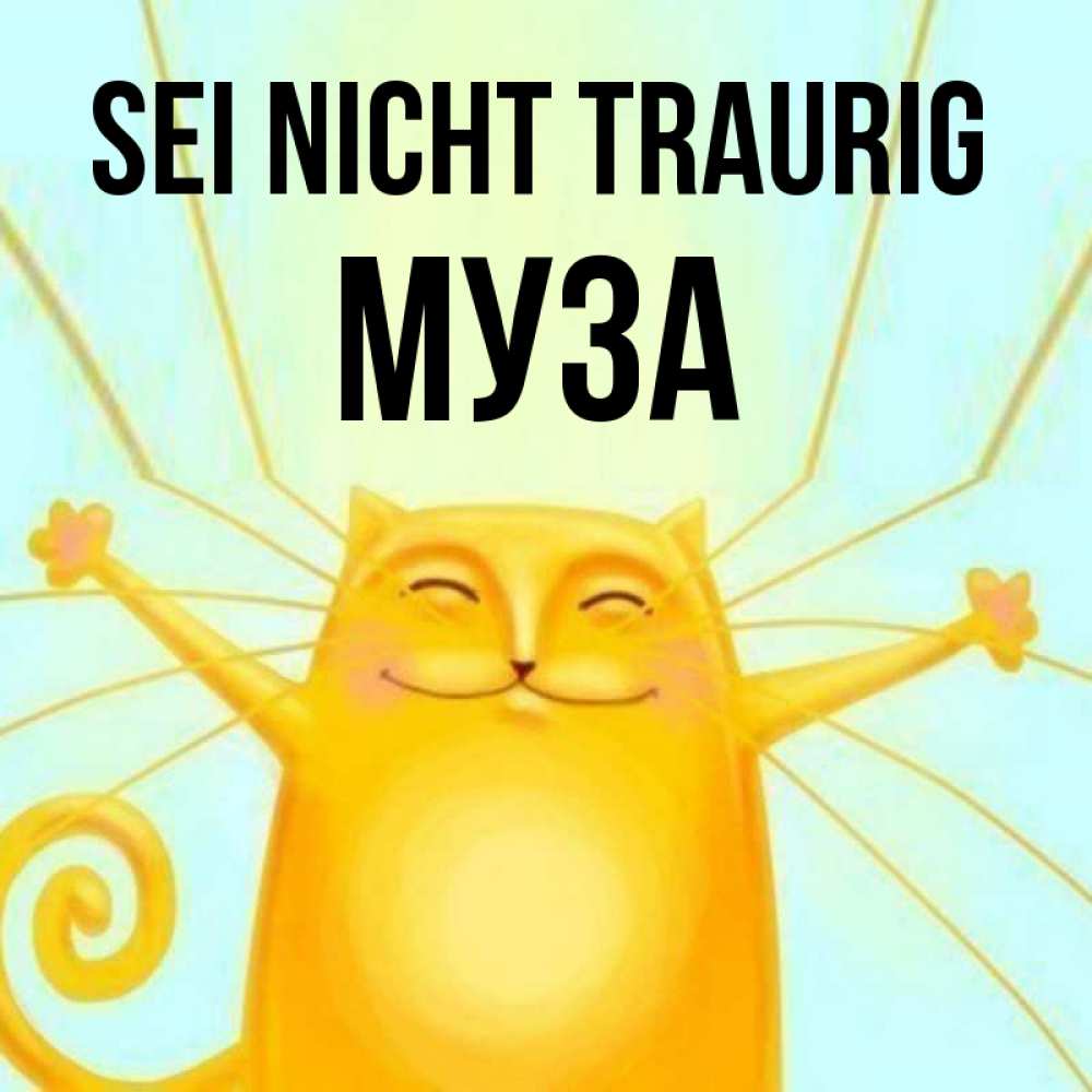 Открытка на каждый день с именем, Муза Sei nicht traurig обнимашки усатые Прикольная открытка с пожеланием онлайн скачать бесплатно 