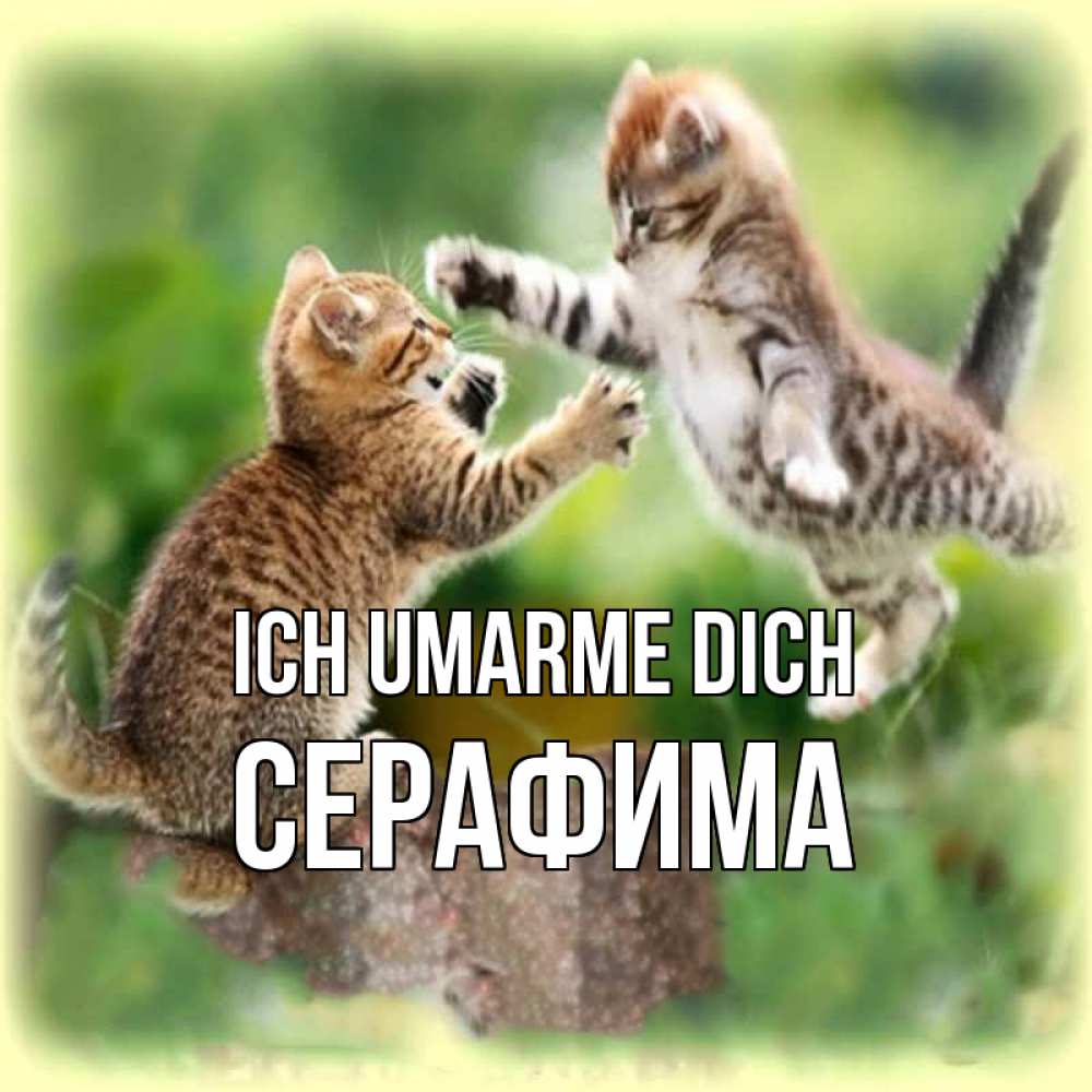 Открытка на каждый день с именем, Серафима Ich umarme dich игры котят Прикольная открытка с пожеланием онлайн скачать бесплатно 