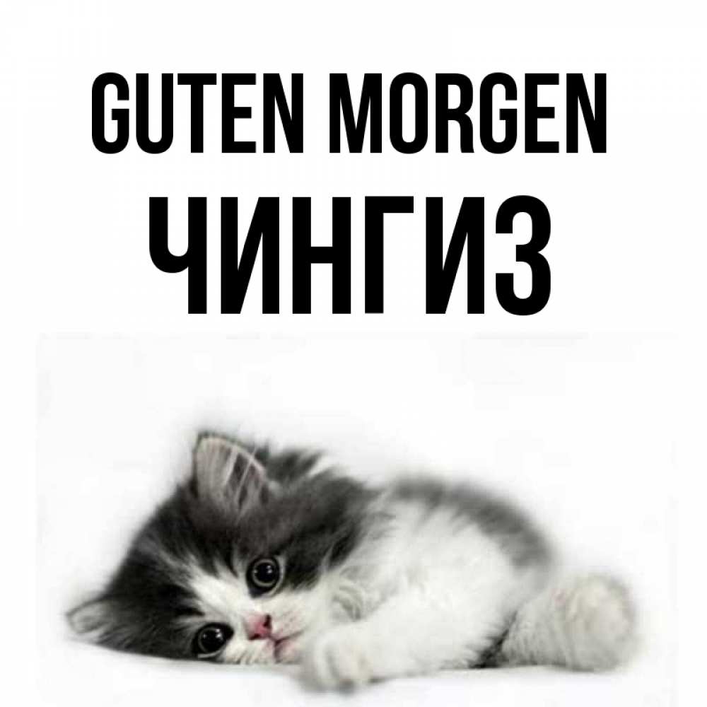 Открытка на каждый день с именем, Чингиз Guten Morgen кот лапки Прикольная открытка с пожеланием онлайн скачать бесплатно 
