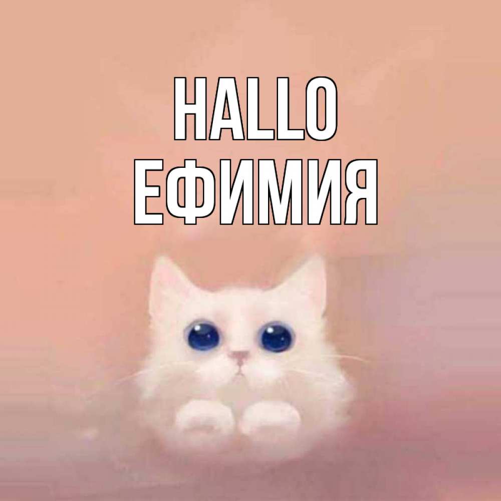 Открытка на каждый день с именем, Ефимия Hallo котик белый в полете Прикольная открытка с пожеланием онлайн скачать бесплатно 