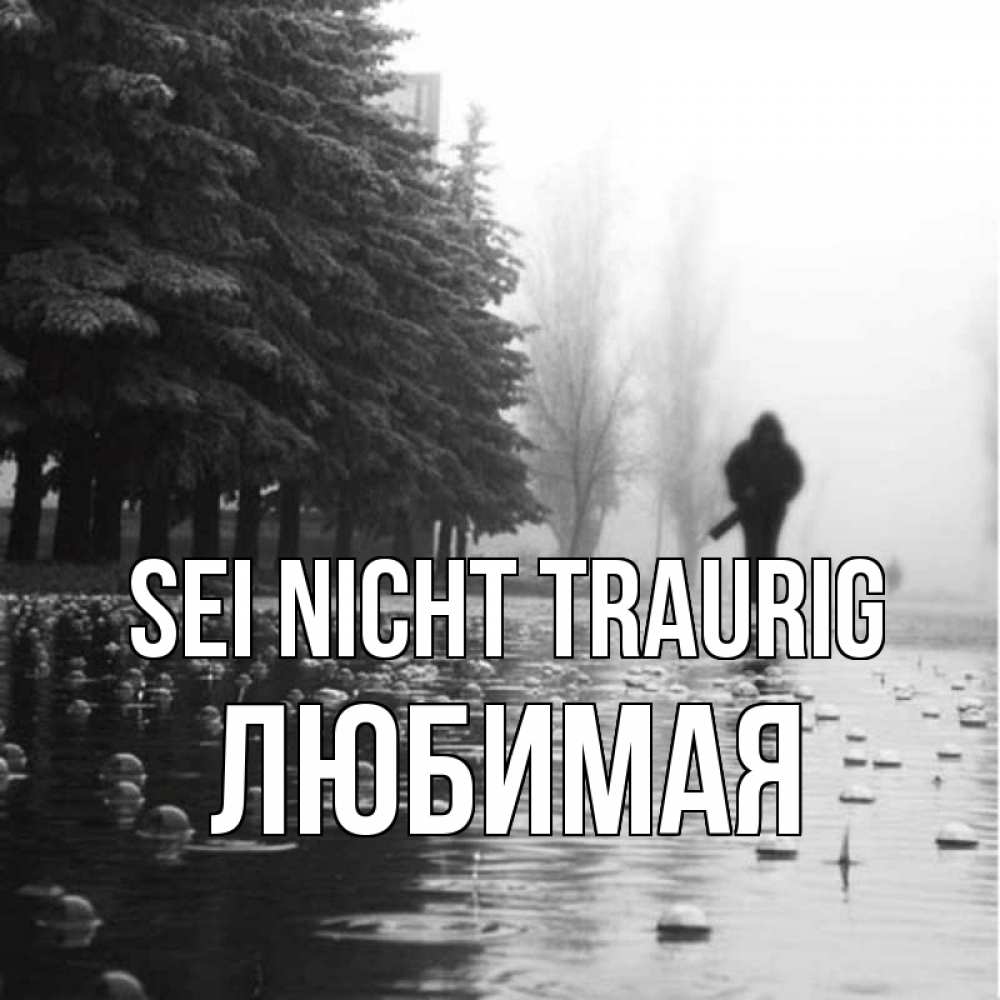 Открытка на каждый день с именем, Любимая Sei nicht traurig улица под дождем Прикольная открытка с пожеланием онлайн скачать бесплатно 