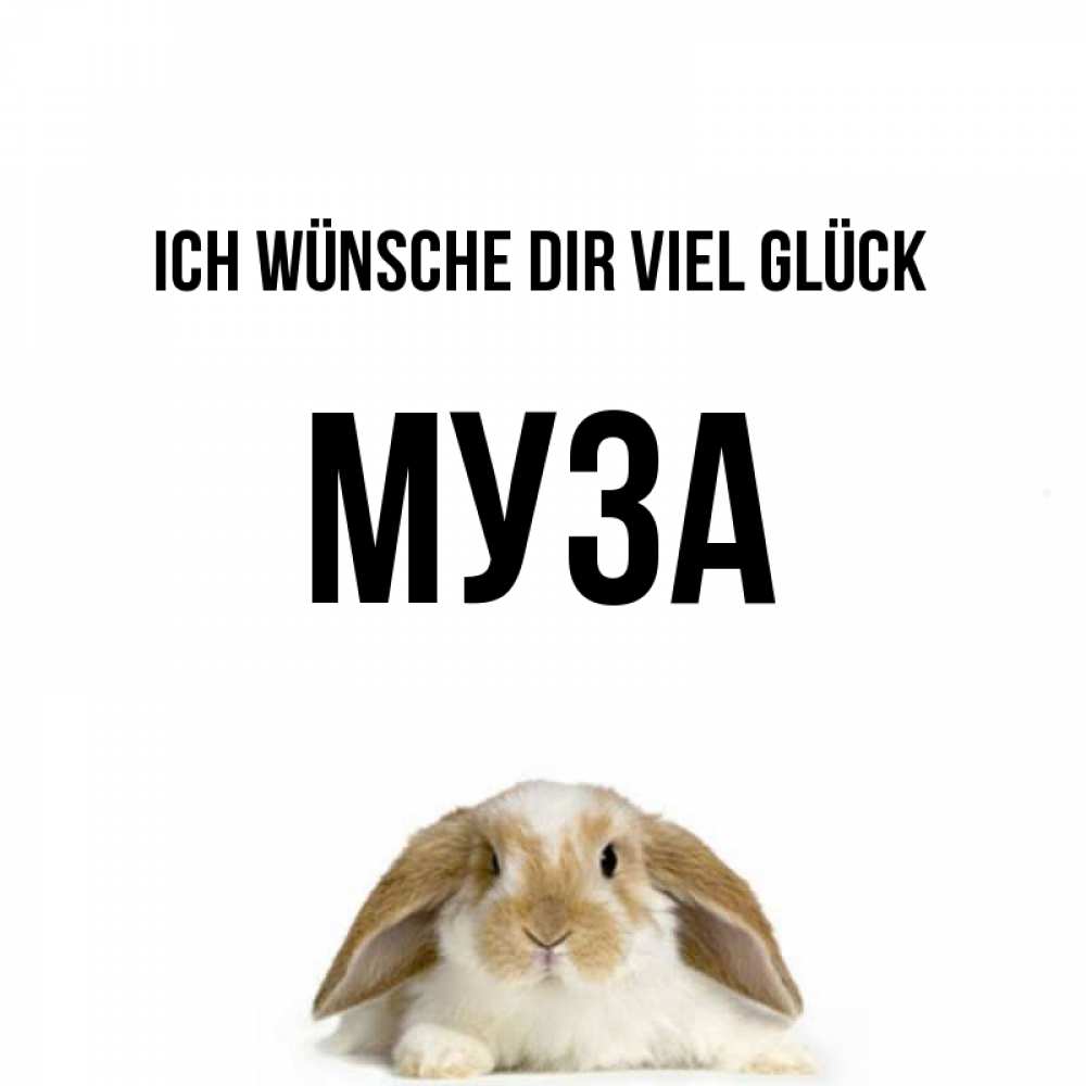 Открытка на каждый день с именем, Муза Ich wünsche dir viel Glück открытки с произвольным текстом который можно вставить в открытку и создать ее самостоятельно бесплатно онлайн Прикольная открытка с пожеланием онлайн скачать бесплатно 