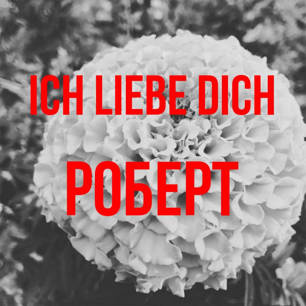 Открытка на каждый день с именем, Роберт Ich liebe dich подпись Прикольная открытка с пожеланием онлайн скачать бесплатно 