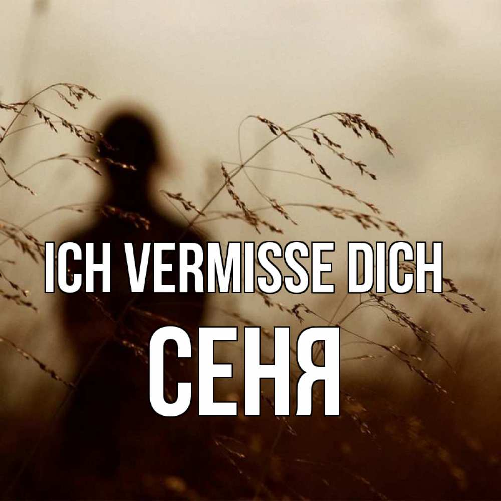 Открытка на каждый день с именем, Сеня Ich vermisse dich силуэт девушки Прикольная открытка с пожеланием онлайн скачать бесплатно 
