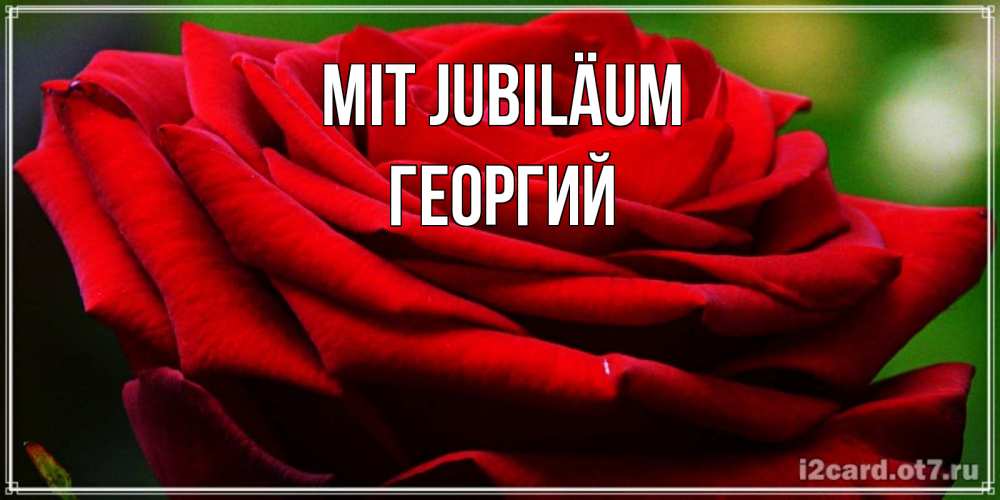 Открытка на каждый день с именем, Георгий Mit Jubiläum розочка очень красивая Прикольная открытка с пожеланием онлайн скачать бесплатно 