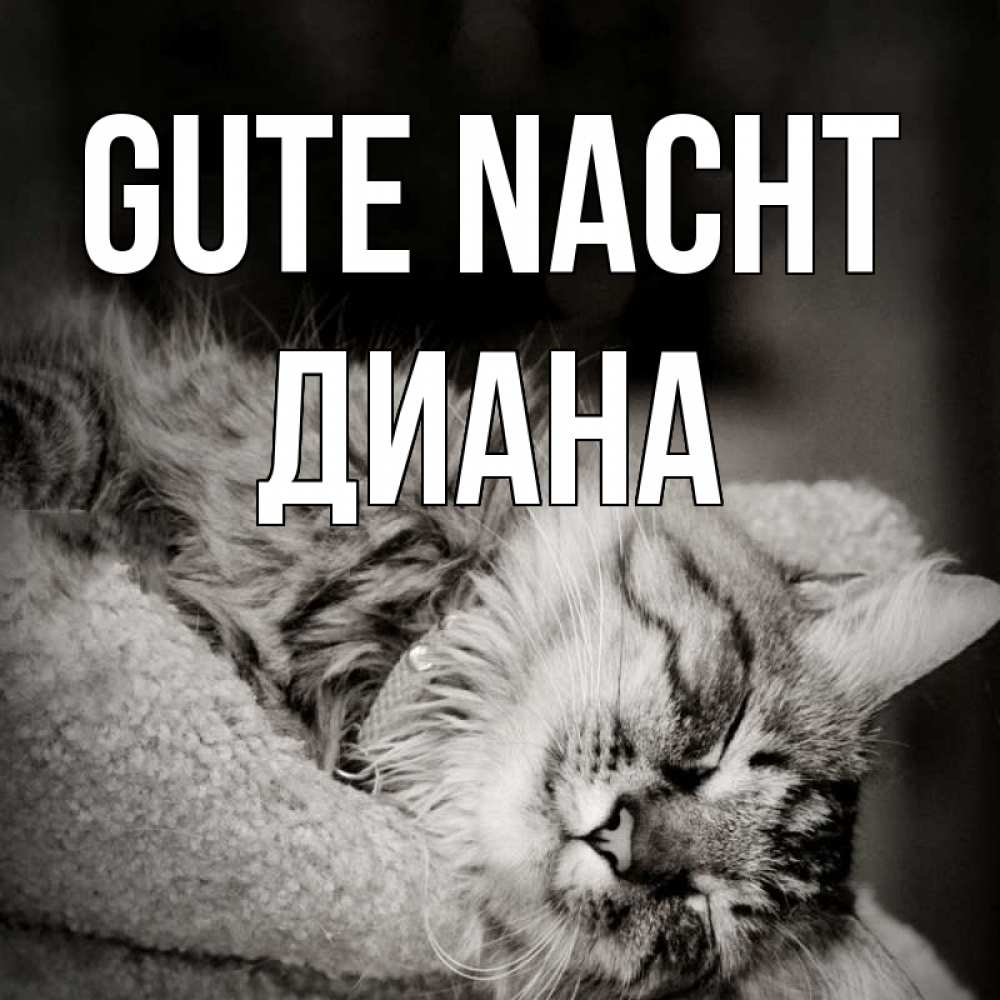 Открытка на каждый день с именем, Диана Gute Nacht котярик пушистый Прикольная открытка с пожеланием онлайн скачать бесплатно 