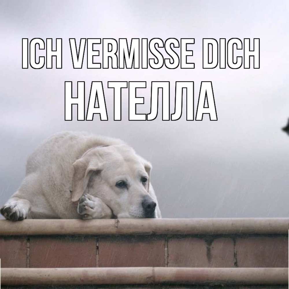 Открытка на каждый день с именем, Нателла Ich vermisse dich ждет Прикольная открытка с пожеланием онлайн скачать бесплатно 