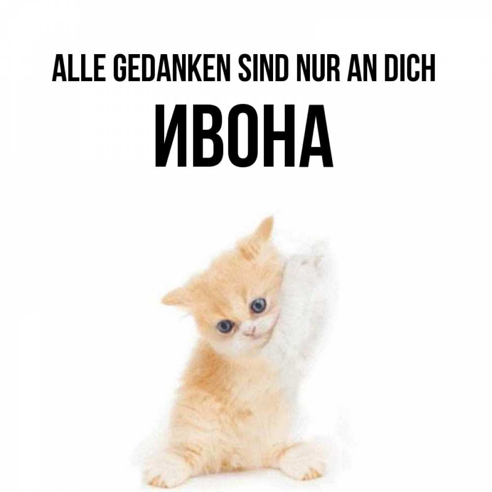 Открытка на каждый день с именем, Ивона Alle Gedanken sind nur an dich зверушки и милота Прикольная открытка с пожеланием онлайн скачать бесплатно 