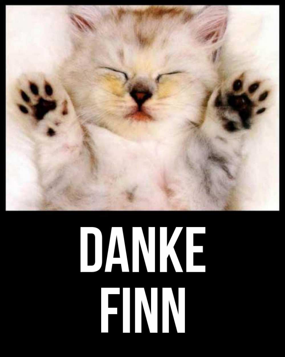 Открытка на каждый день с именем, Finn Danke маленький котенок Прикольная открытка с пожеланием онлайн скачать бесплатно 