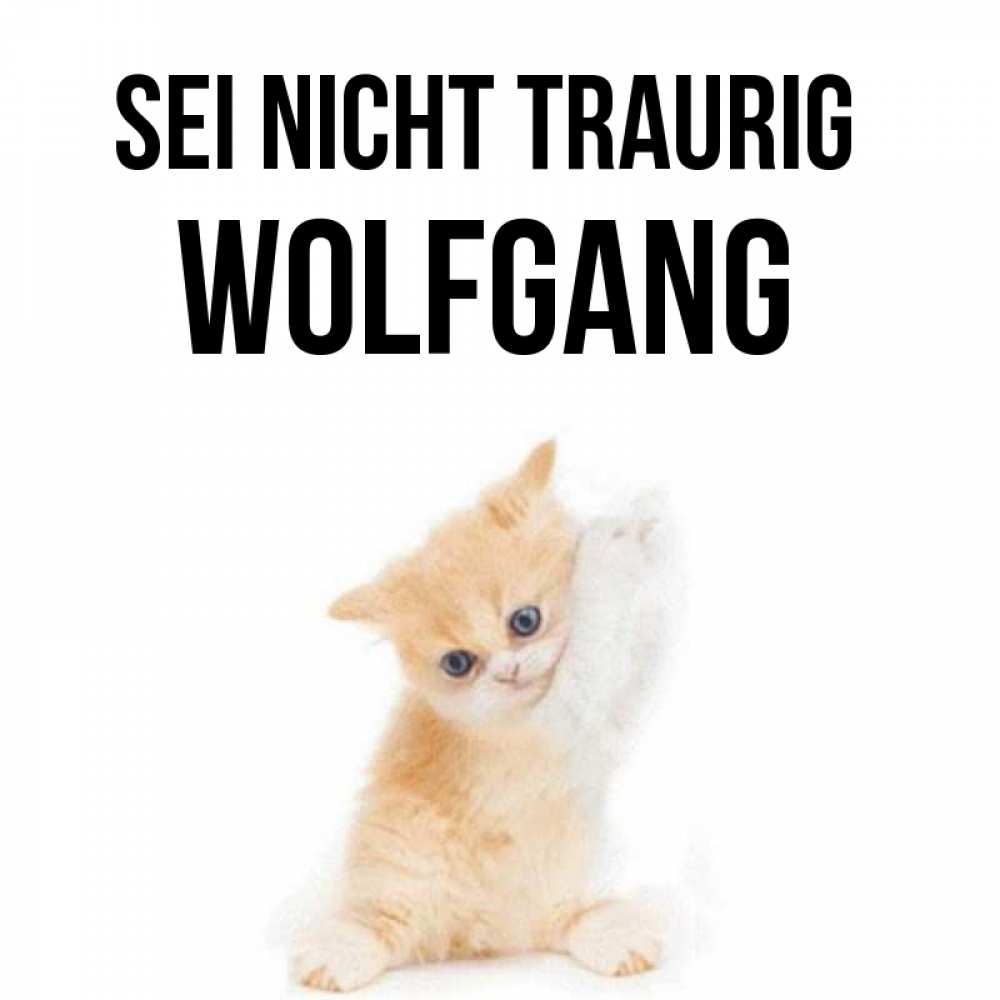 Открытка на каждый день с именем, Wolfgang Sei nicht traurig просящий кот Прикольная открытка с пожеланием онлайн скачать бесплатно 