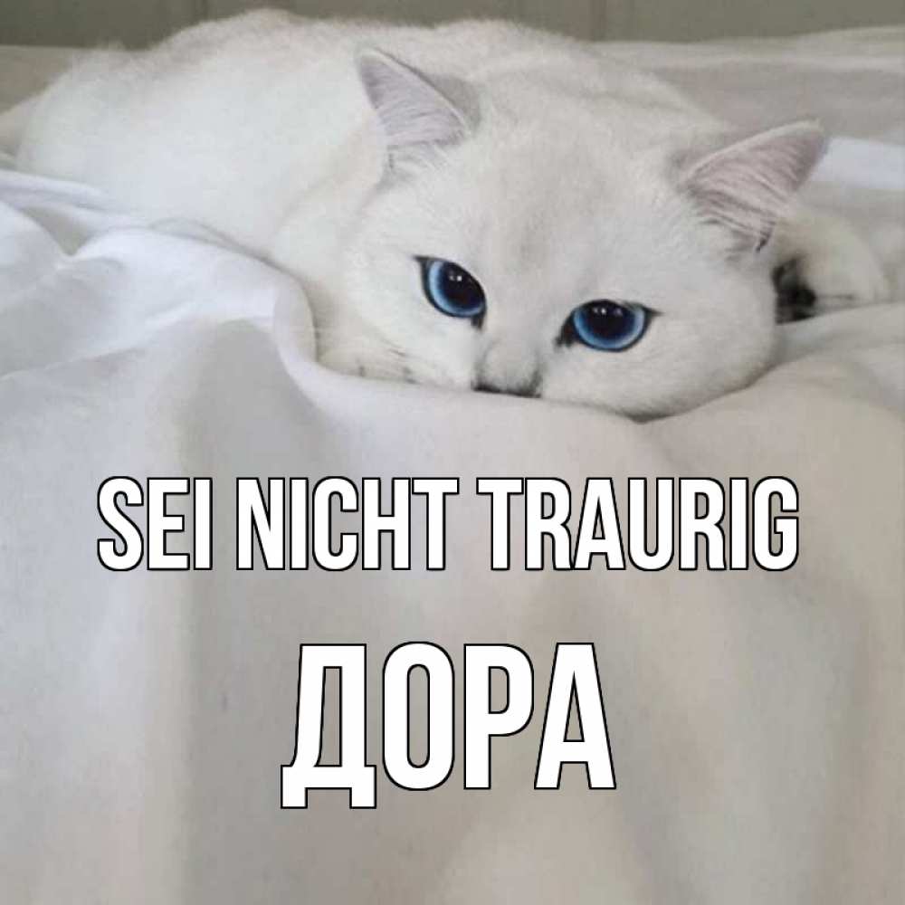 Открытка на каждый день с именем, Дора Sei nicht traurig белый кот с голубыми глазами на белоснежной кровати Прикольная открытка с пожеланием онлайн скачать бесплатно 