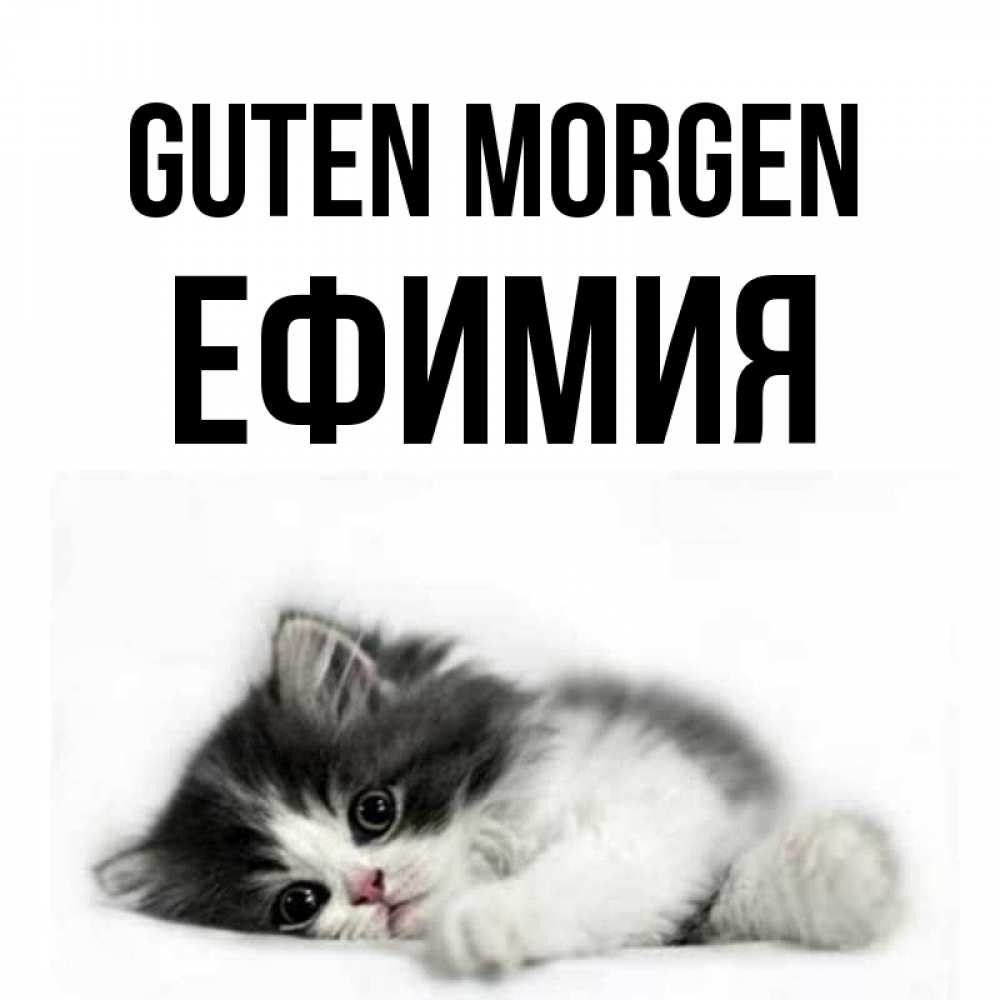 Открытка на каждый день с именем, Ефимия Guten Morgen кот лапки Прикольная открытка с пожеланием онлайн скачать бесплатно 