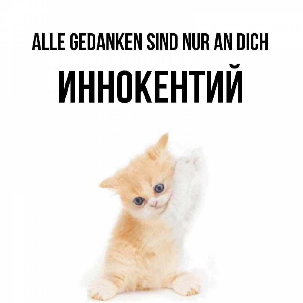 Открытка на каждый день с именем, Иннокентий Alle Gedanken sind nur an dich зверушки и милота Прикольная открытка с пожеланием онлайн скачать бесплатно 