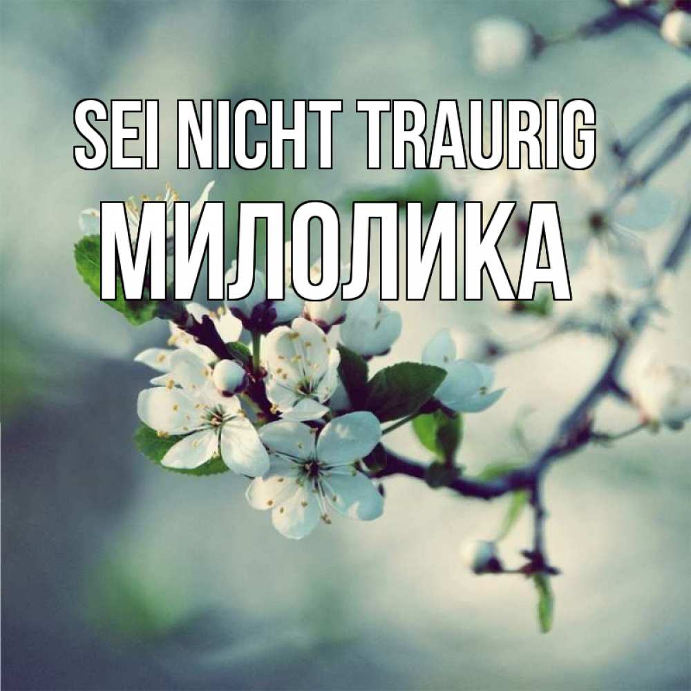 Открытка на каждый день с именем, Милолика Sei nicht traurig яблоня в цвету 1 Прикольная открытка с пожеланием онлайн скачать бесплатно 