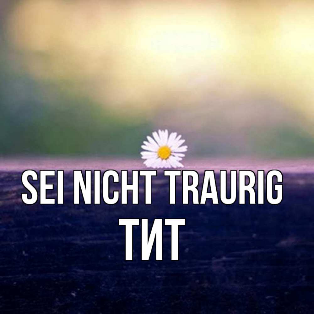 Открытка на каждый день с именем, Тит Sei nicht traurig красота Прикольная открытка с пожеланием онлайн скачать бесплатно 