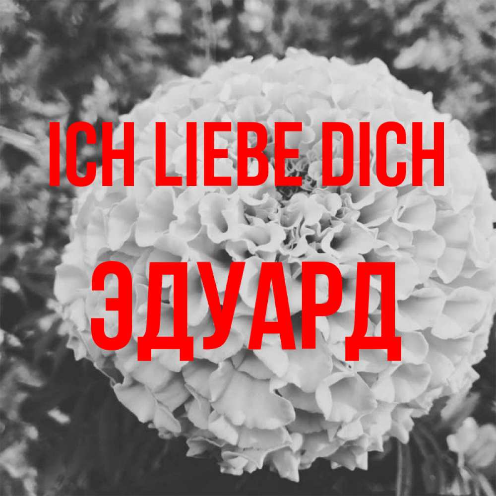 Открытка на каждый день с именем, Эдуард Ich liebe dich подпись Прикольная открытка с пожеланием онлайн скачать бесплатно 