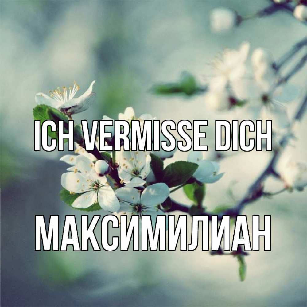 Открытка на каждый день с именем, Максимилиан Ich vermisse dich весна Прикольная открытка с пожеланием онлайн скачать бесплатно 