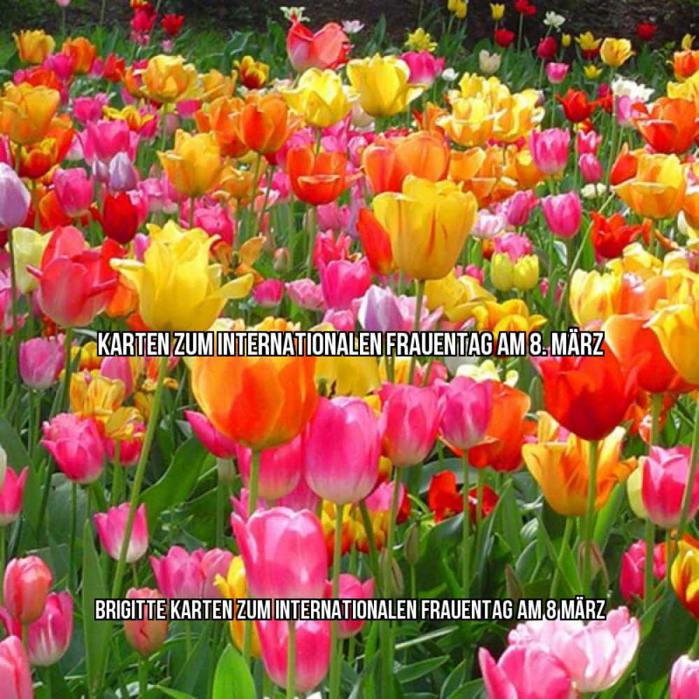 Картинка Karten zum Internationalen Frauentag am 8. März, Brigitte