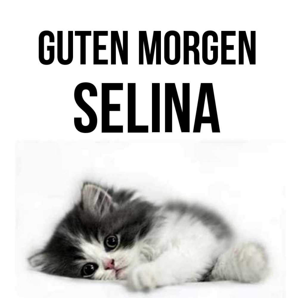 Открытка на каждый день с именем, Selina Guten Morgen кот лапки Прикольная открытка с пожеланием онлайн скачать бесплатно 