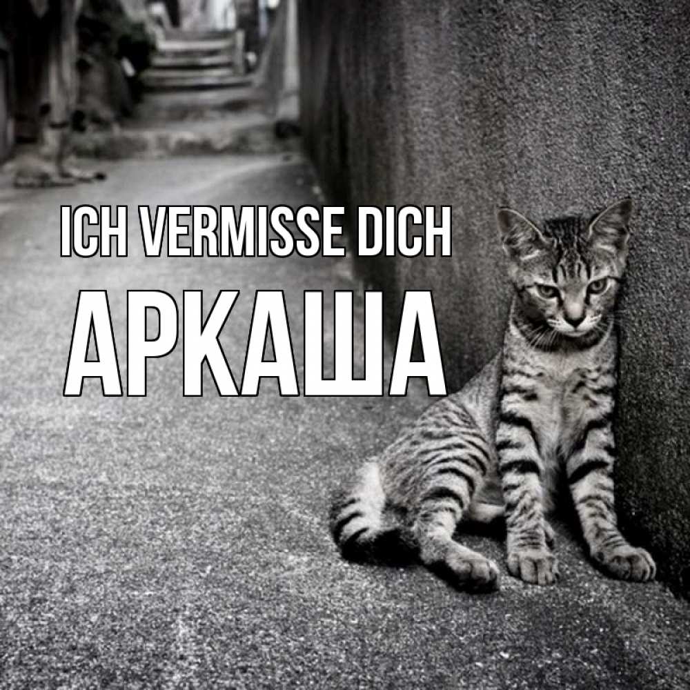 Открытка на каждый день с именем, Аркаша Ich vermisse dich одиноко котику Прикольная открытка с пожеланием онлайн скачать бесплатно 