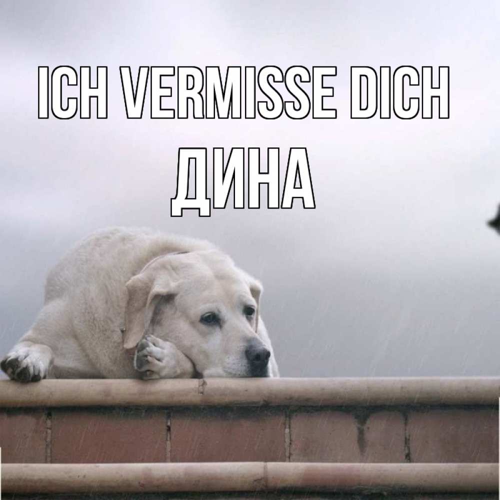 Открытка на каждый день с именем, Дина Ich vermisse dich ждет Прикольная открытка с пожеланием онлайн скачать бесплатно 