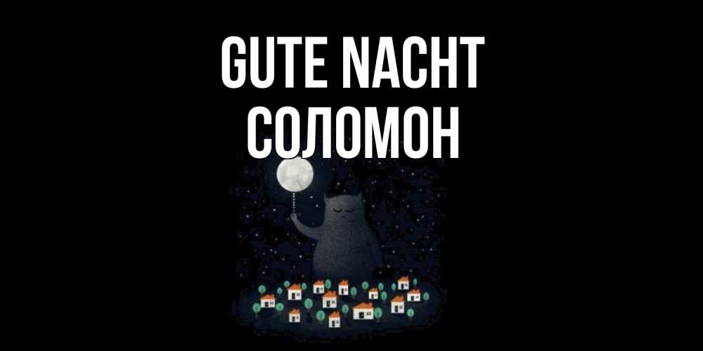 Открытка на каждый день с именем, Соломон Gute Nacht кот,луна, ночь, звезды Прикольная открытка с пожеланием онлайн скачать бесплатно 