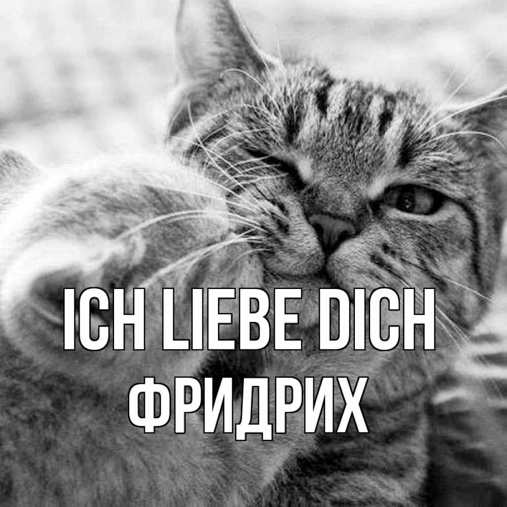 Открытка на каждый день с именем, Фридрих Ich liebe dich коты Прикольная открытка с пожеланием онлайн скачать бесплатно 
