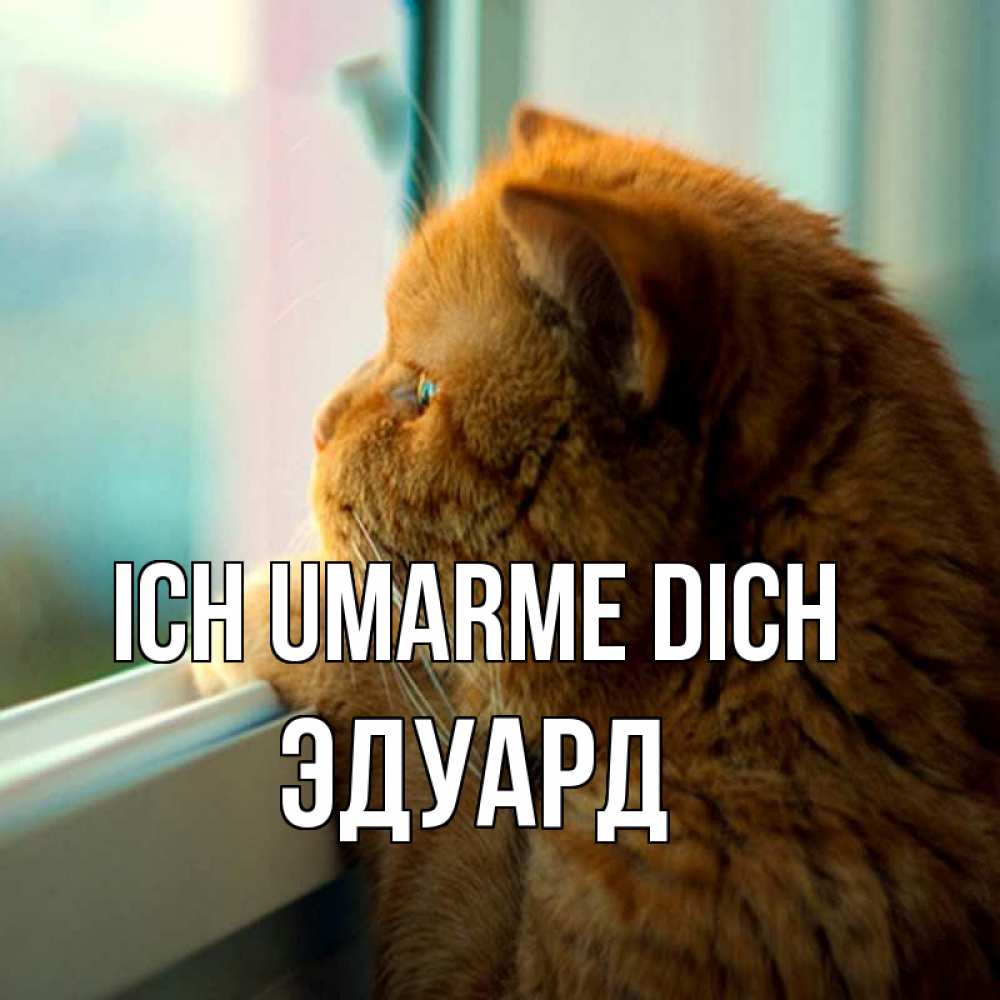 Открытка на каждый день с именем, Эдуард Ich umarme dich большой огромный рыжий котяра Прикольная открытка с пожеланием онлайн скачать бесплатно 