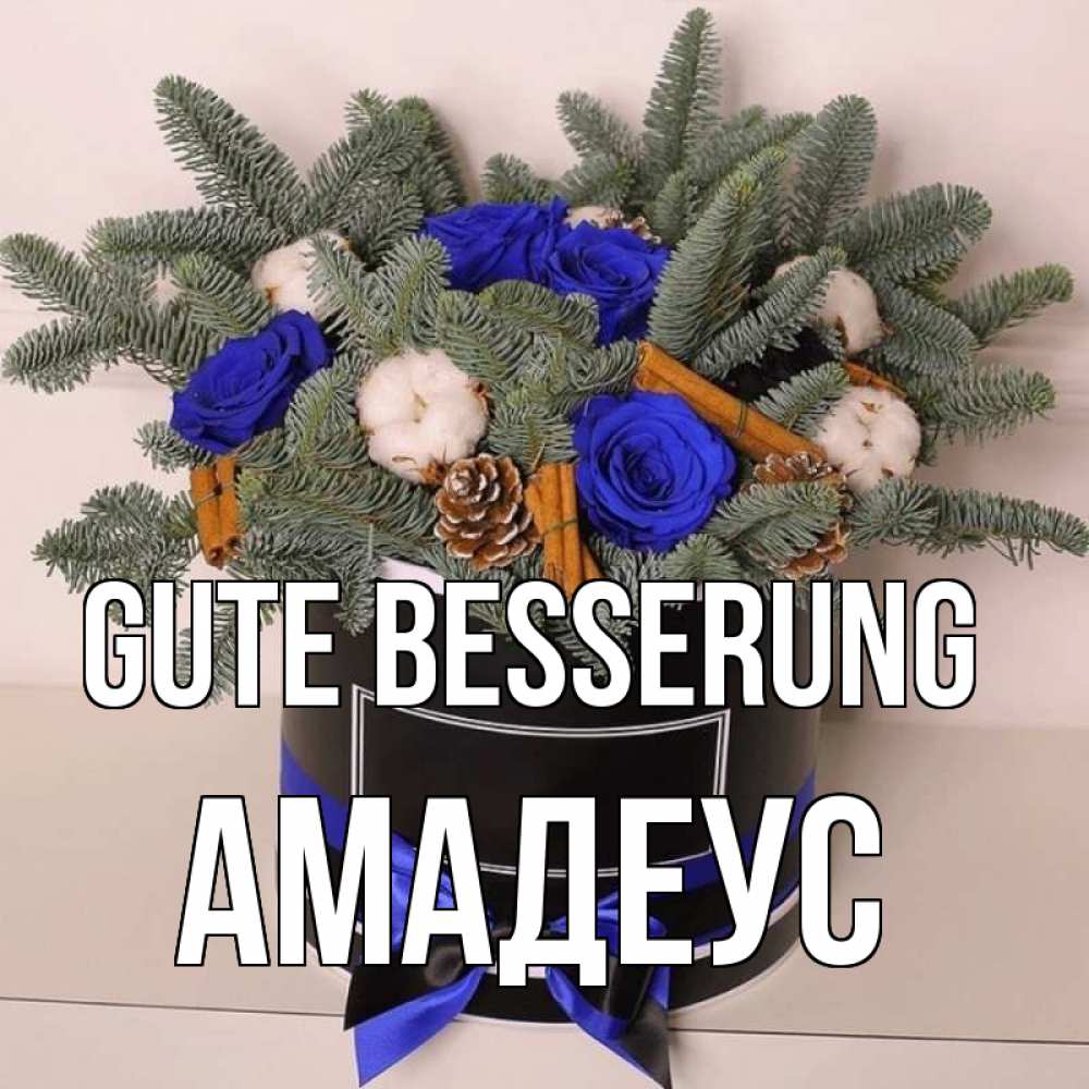 Открытка на каждый день с именем, Амадеус Gute Besserung короче кто то загрузил эти шишки Прикольная открытка с пожеланием онлайн скачать бесплатно 
