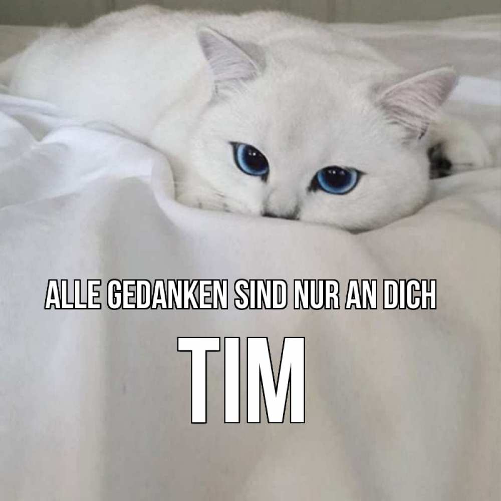 Открытка на каждый день с именем, Tim Alle Gedanken sind nur an dich я очень по тебе скучаю и тоскую Прикольная открытка с пожеланием онлайн скачать бесплатно 