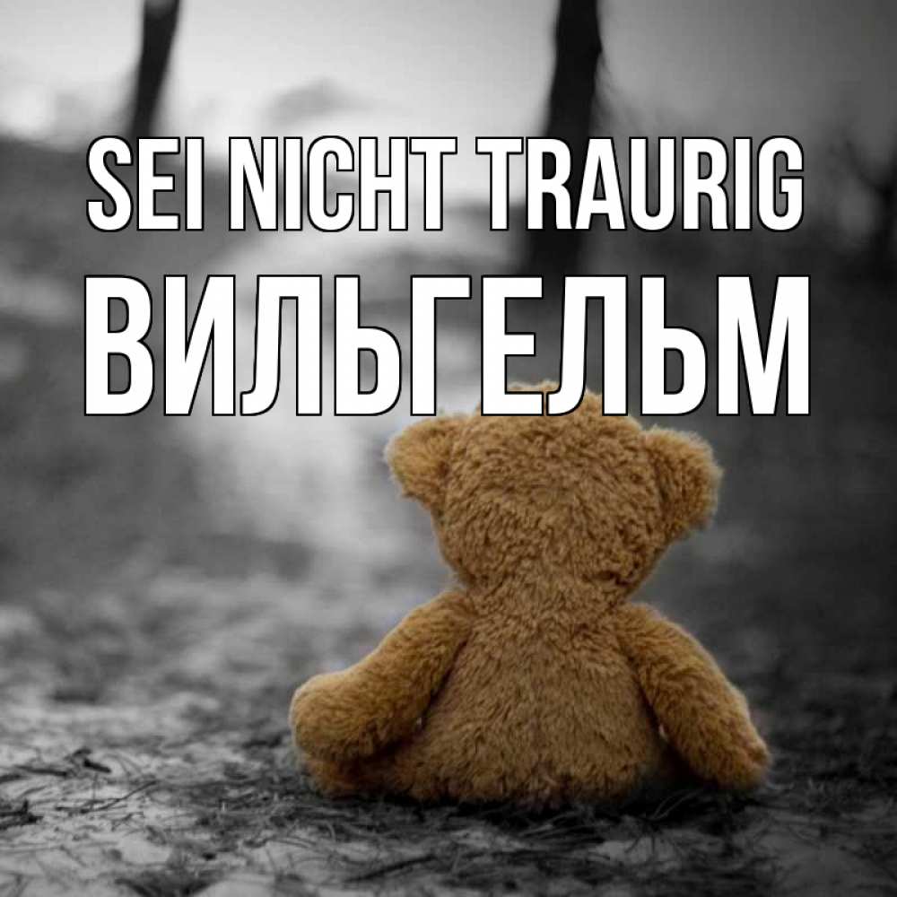 Открытка на каждый день с именем, Вильгельм Sei nicht traurig медведь со спин Прикольная открытка с пожеланием онлайн скачать бесплатно 