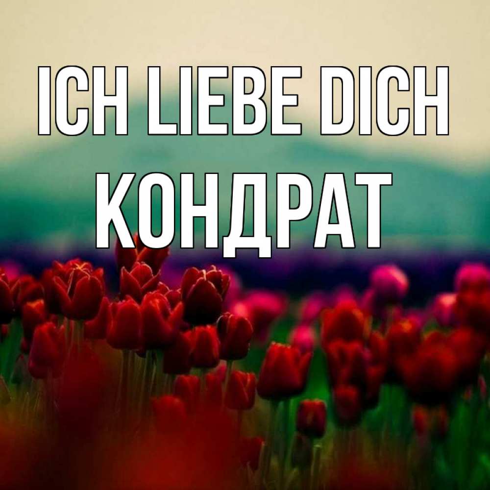 Открытка на каждый день с именем, Кондрат Ich liebe dich тюльпаны 4 Прикольная открытка с пожеланием онлайн скачать бесплатно 