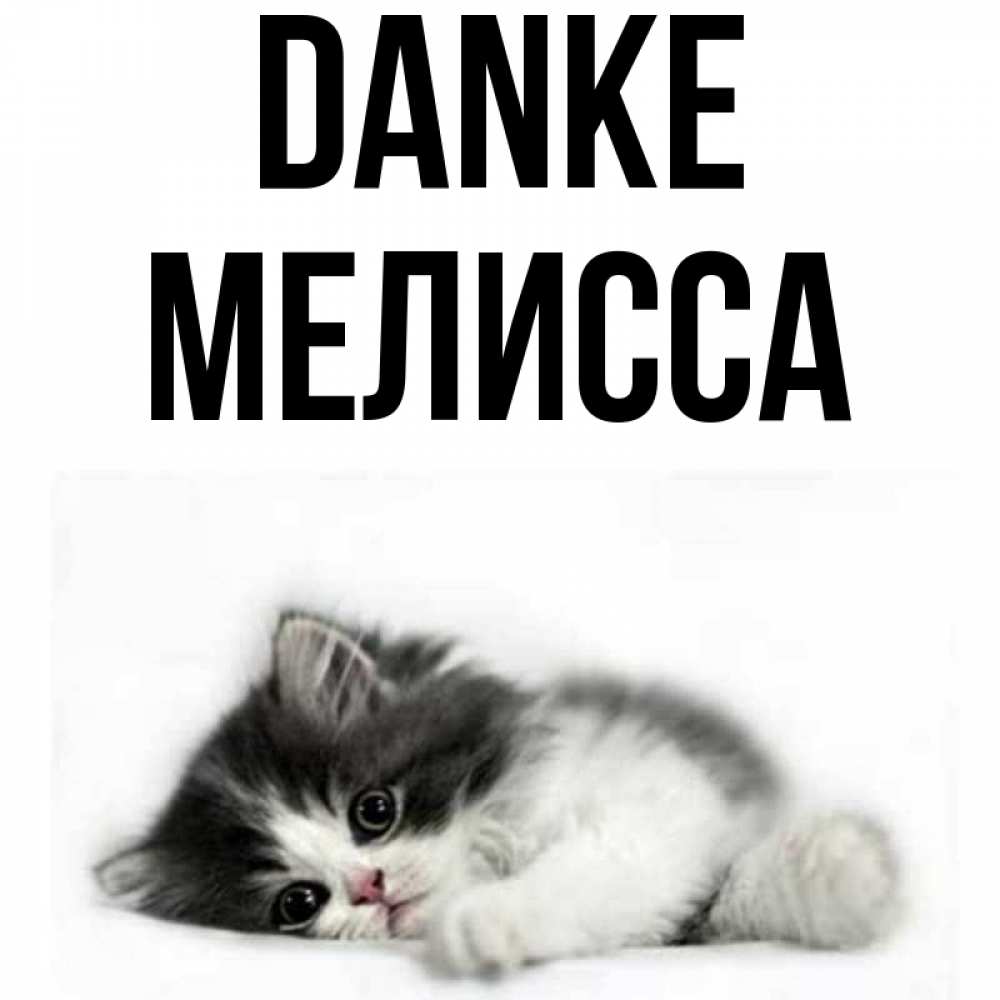 Открытка на каждый день с именем, Мелисса Danke черный и белый кот Прикольная открытка с пожеланием онлайн скачать бесплатно 