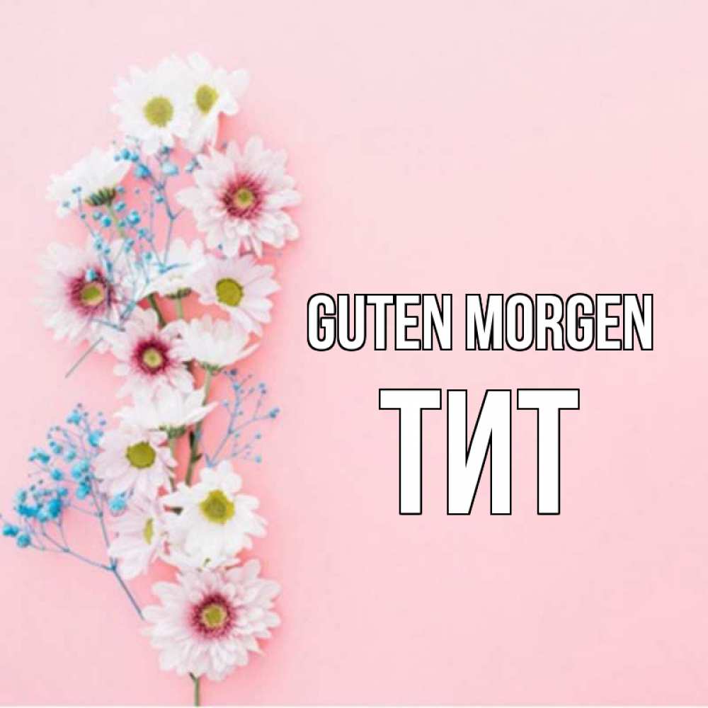 Открытка на каждый день с именем, Тит Guten Morgen цветы с подписью Прикольная открытка с пожеланием онлайн скачать бесплатно 