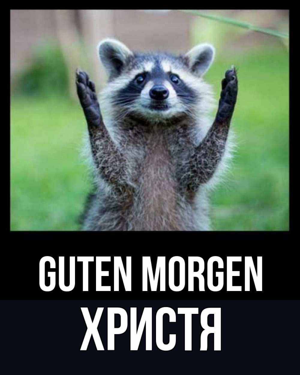 Открытка на каждый день с именем, Христя Guten Morgen хорошее настроение утречком Прикольная открытка с пожеланием онлайн скачать бесплатно 