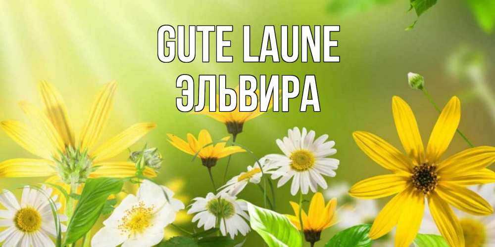 Открытка на каждый день с именем, Эльвира Gute Laune цветы Прикольная открытка с пожеланием онлайн скачать бесплатно 