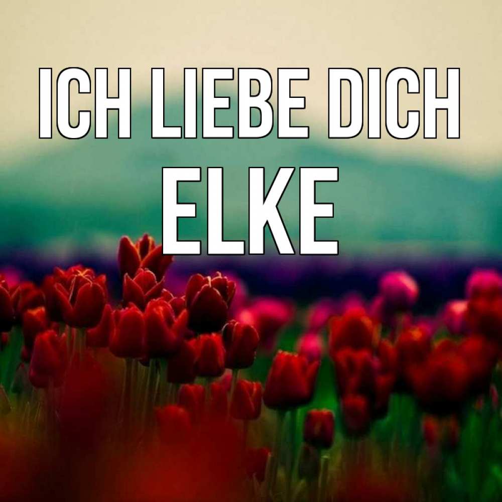Открытка на каждый день с именем, Elke Ich liebe dich тюльпаны 4 Прикольная открытка с пожеланием онлайн скачать бесплатно 