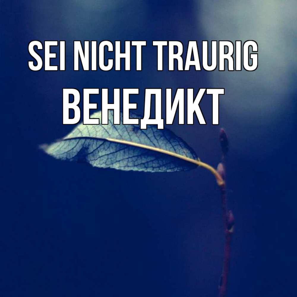 Открытка на каждый день с именем, Венедикт Sei nicht traurig растение Прикольная открытка с пожеланием онлайн скачать бесплатно 
