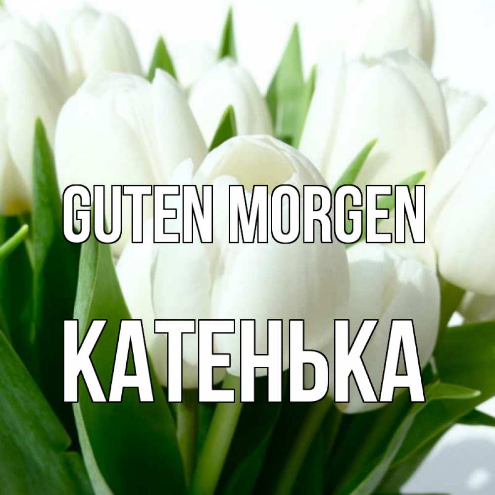 Открытка на каждый день с именем, Катенька Guten Morgen открытки на каждый день по именам Прикольная открытка с пожеланием онлайн скачать бесплатно 