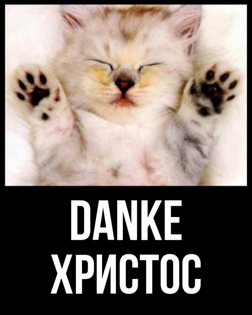 Открытка на каждый день с именем, Христос Danke маленький котенок Прикольная открытка с пожеланием онлайн скачать бесплатно 