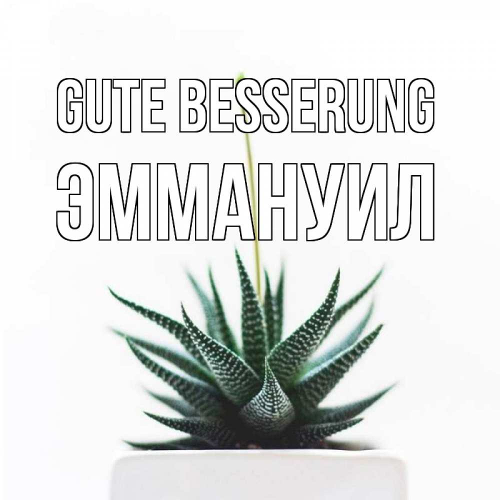 Открытка на каждый день с именем, Эммануил Gute Besserung короче это непонятная колючка Прикольная открытка с пожеланием онлайн скачать бесплатно 