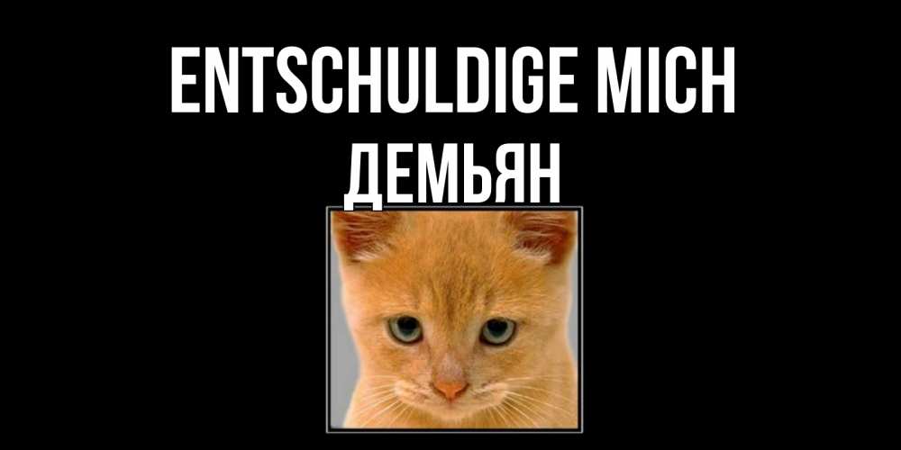 Открытка на каждый день с именем, Демьян Entschuldige mich рыжий грустный кот просит прощения Прикольная открытка с пожеланием онлайн скачать бесплатно 