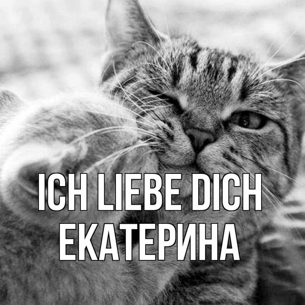 Открытка на каждый день с именем, Екатерина Ich liebe dich коты Прикольная открытка с пожеланием онлайн скачать бесплатно 